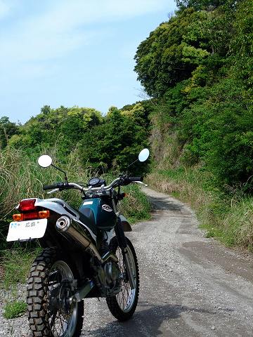 e0045768_2248467.jpg