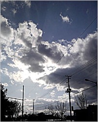a0050669_3564536.jpg