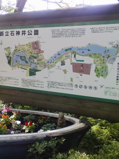 f0112873_23322576.jpg