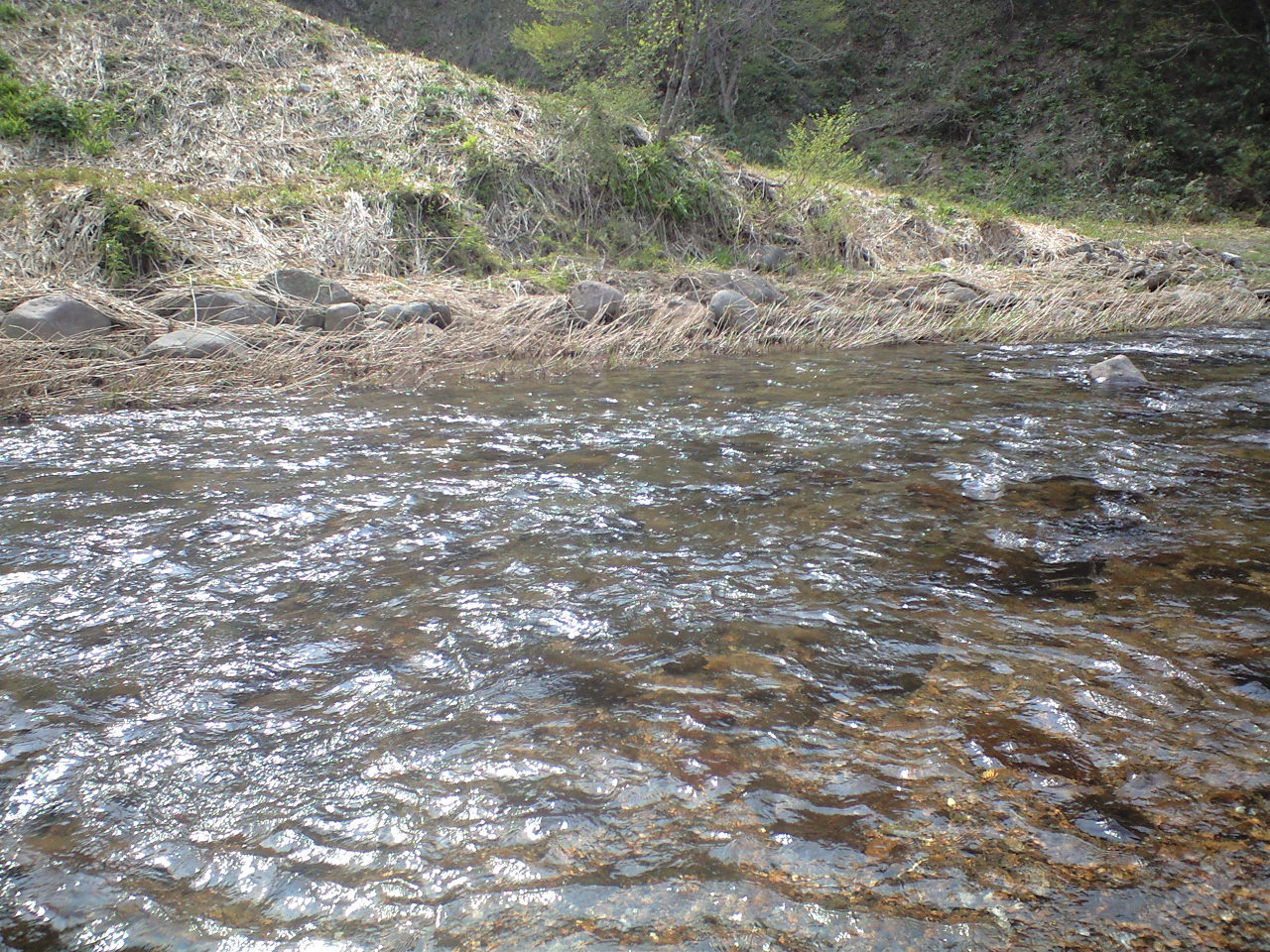 a0093677_21191357.jpg