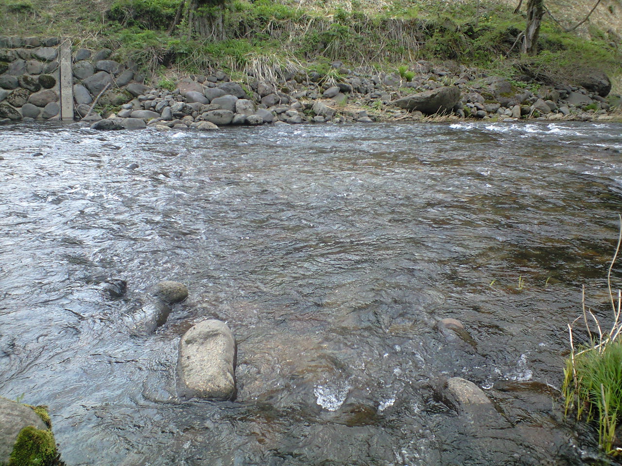 a0093677_21242988.jpg