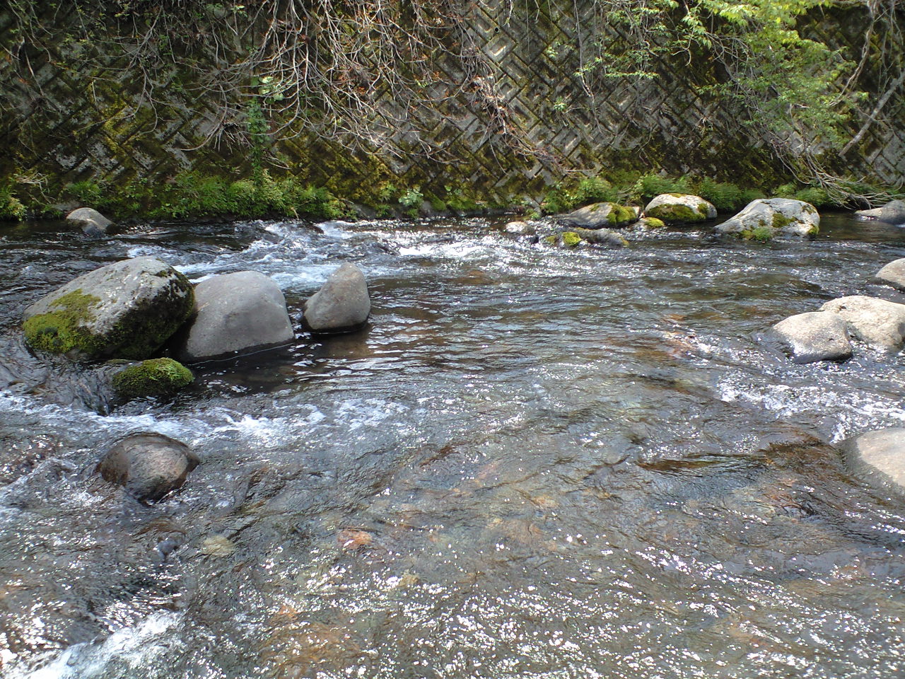 a0093677_21584775.jpg
