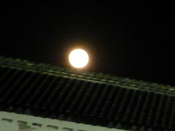 c0125283_7481658.jpg