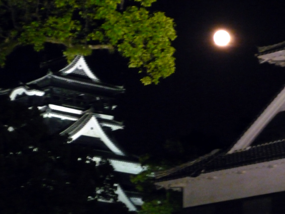 c0125283_7495594.jpg