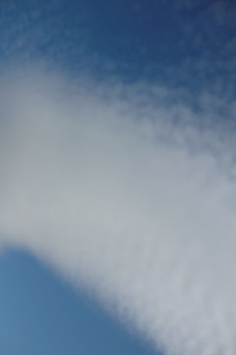 b0202185_12435048.jpg