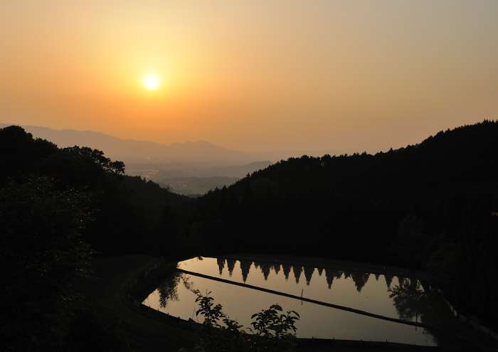e0092186_220797.jpg