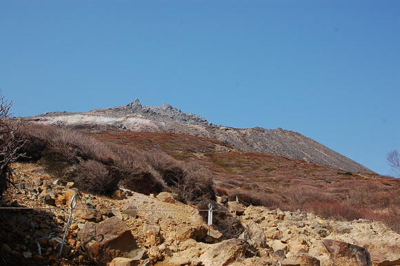 b0203588_18382328.jpg