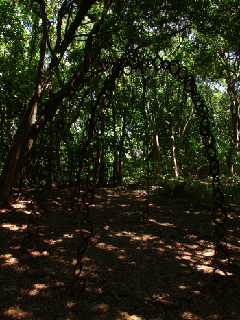 f0103688_1032598.jpg