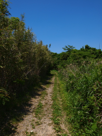 f0103688_1527373.jpg