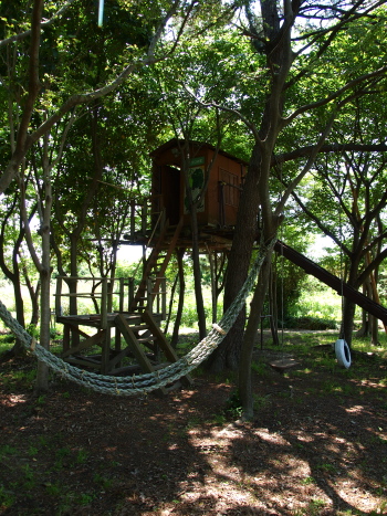 f0103688_15304280.jpg