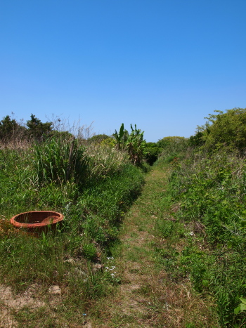 f0103688_1542567.jpg