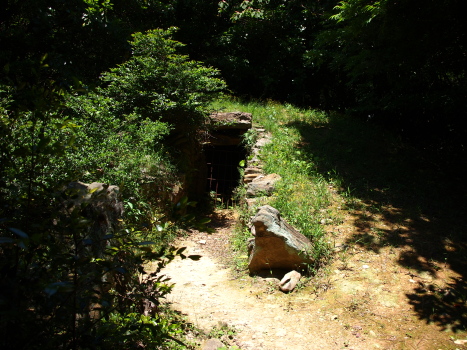 f0103688_1542920.jpg