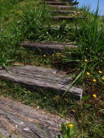 f0103688_15445636.jpg