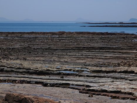 f0103688_1545684.jpg
