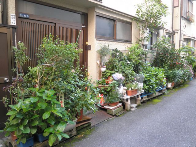 f0130894_22474345.jpg