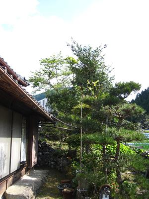 c0118495_190250.jpg