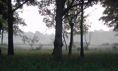c0062796_738306.jpg
