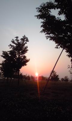 c0062796_740885.jpg