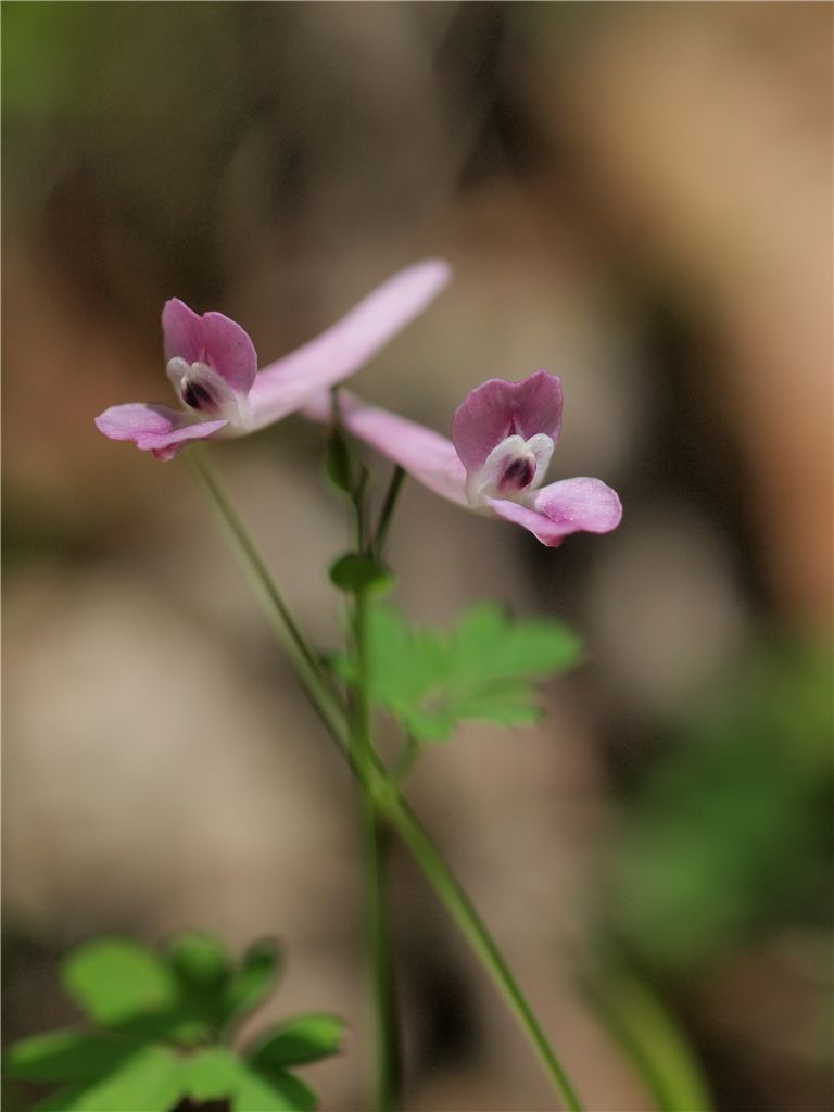 f0224100_23143530.jpg