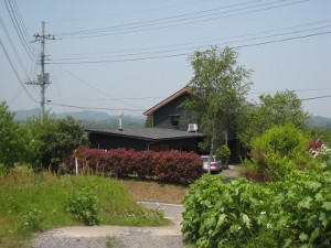 e0033301_103496.jpg