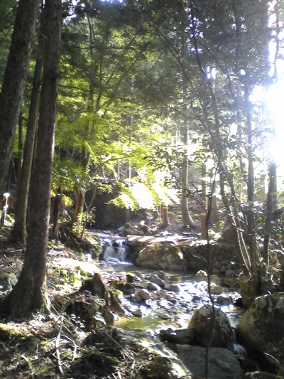 e0115301_2224114.jpg