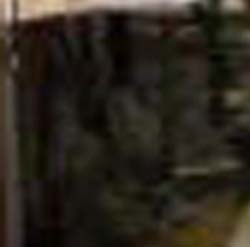 e0103408_0552555.jpg