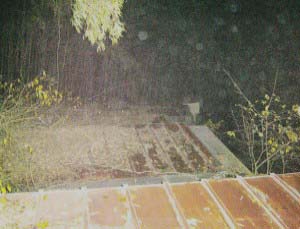 e0103408_0563923.jpg