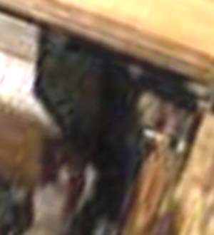 e0103408_056829.jpg