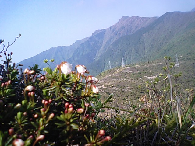 f0231709_9332077.jpg