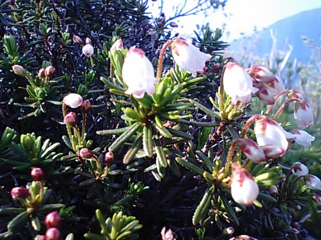 f0231709_9435050.jpg