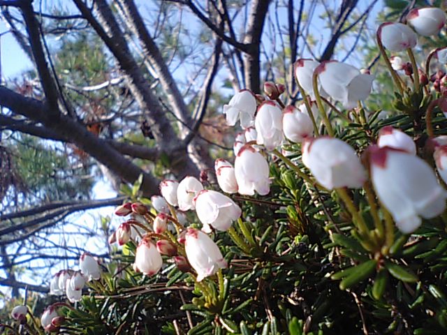 f0231709_9524934.jpg