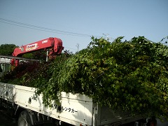 c0190010_2012074.jpg