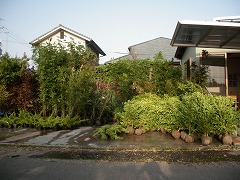 c0190010_20123884.jpg