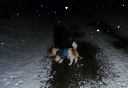 e0078510_2325621.jpg