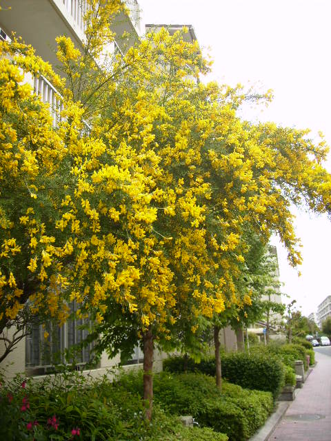 f0208812_949358.jpg