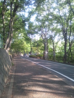 e0220418_6402779.jpg