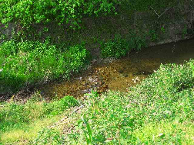 d0170119_1651926.jpg