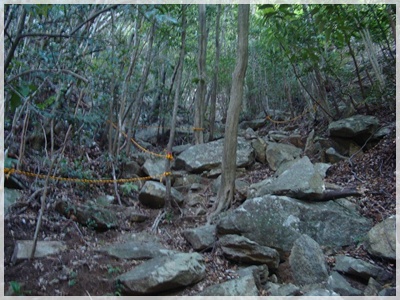 f0193521_14504448.jpg
