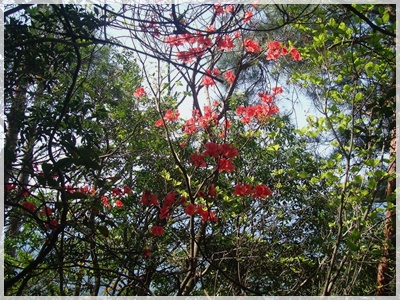 f0193521_14544665.jpg