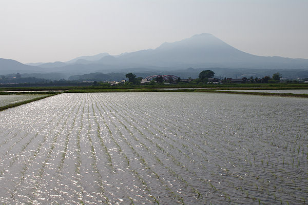 f0007926_10222768.jpg
