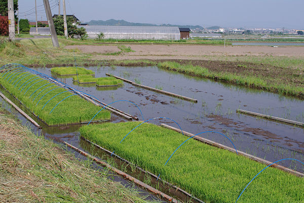 f0007926_10294558.jpg