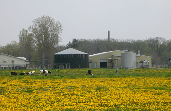 a0046429_2275764.jpg
