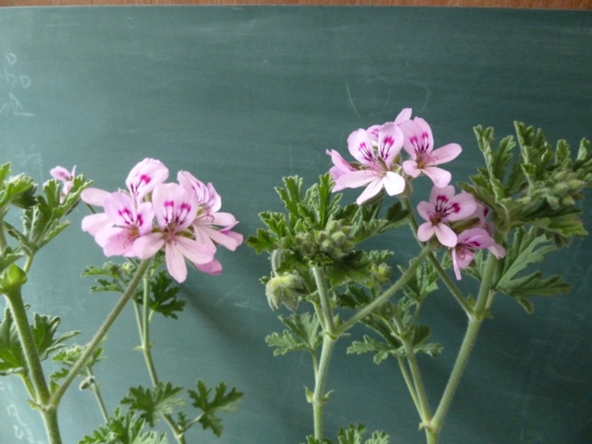 e0033229_2218713.jpg