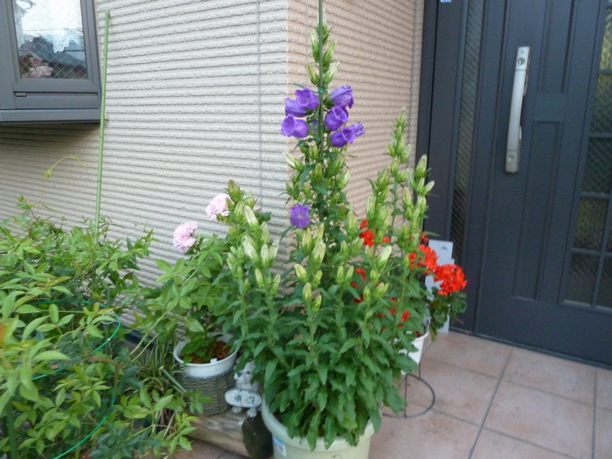 e0033229_22212948.jpg
