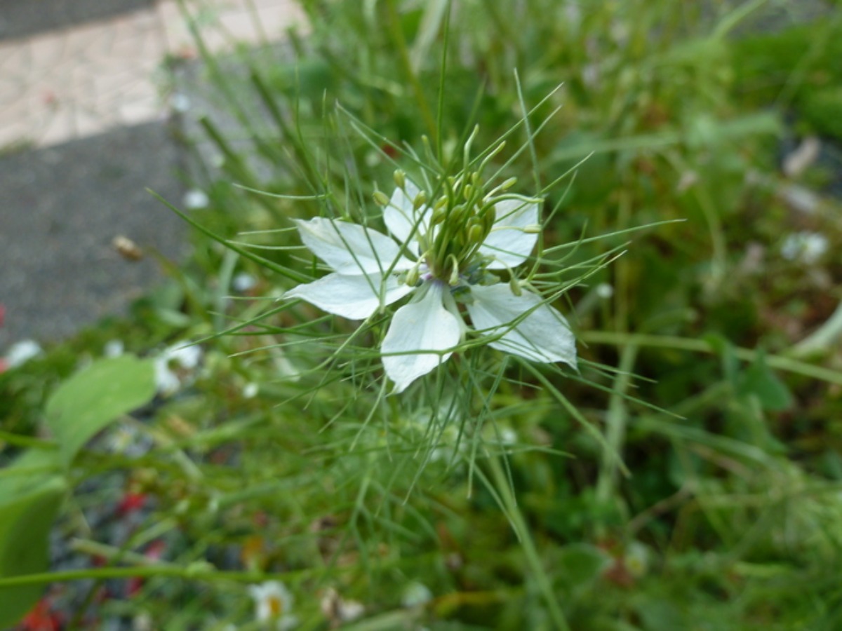 e0033229_2227014.jpg
