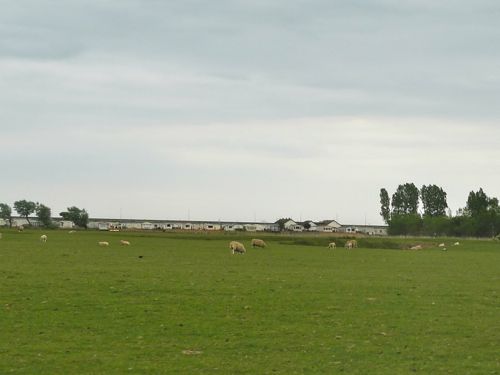 f0165831_87635.jpg