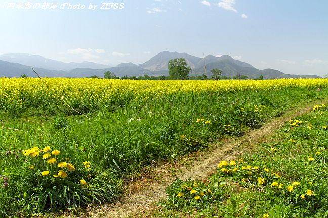 a0195032_2155231.jpg