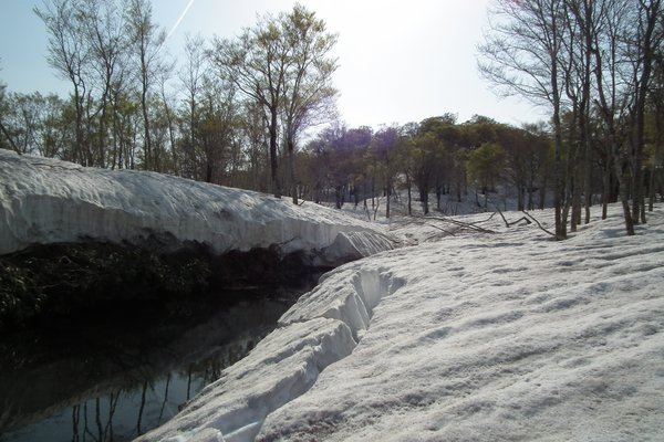 f0118332_044173.jpg
