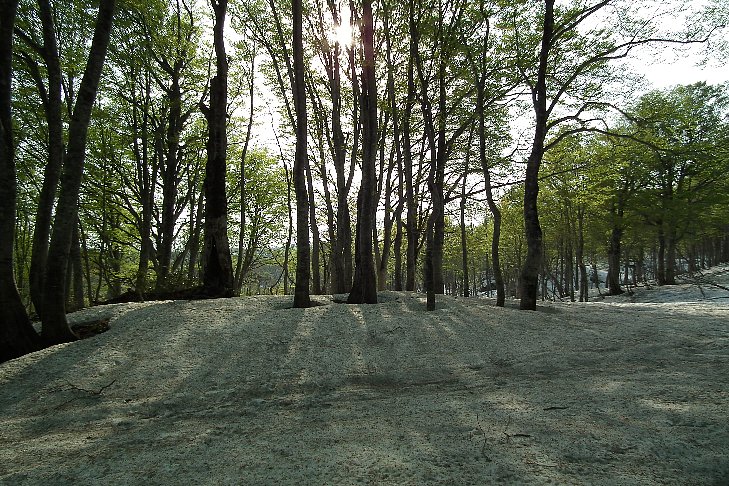f0118332_054878.jpg