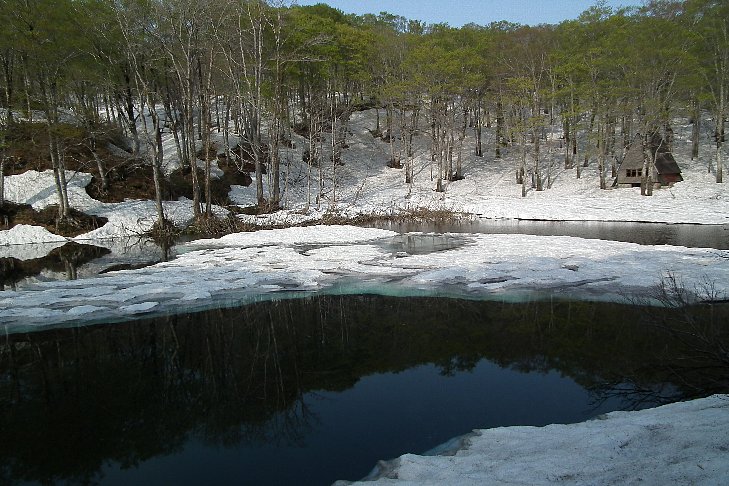 f0118332_05920.jpg